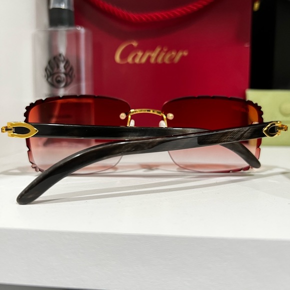 ET 3k - Cartier black buffalo horn glasses - Picture 5 of 7